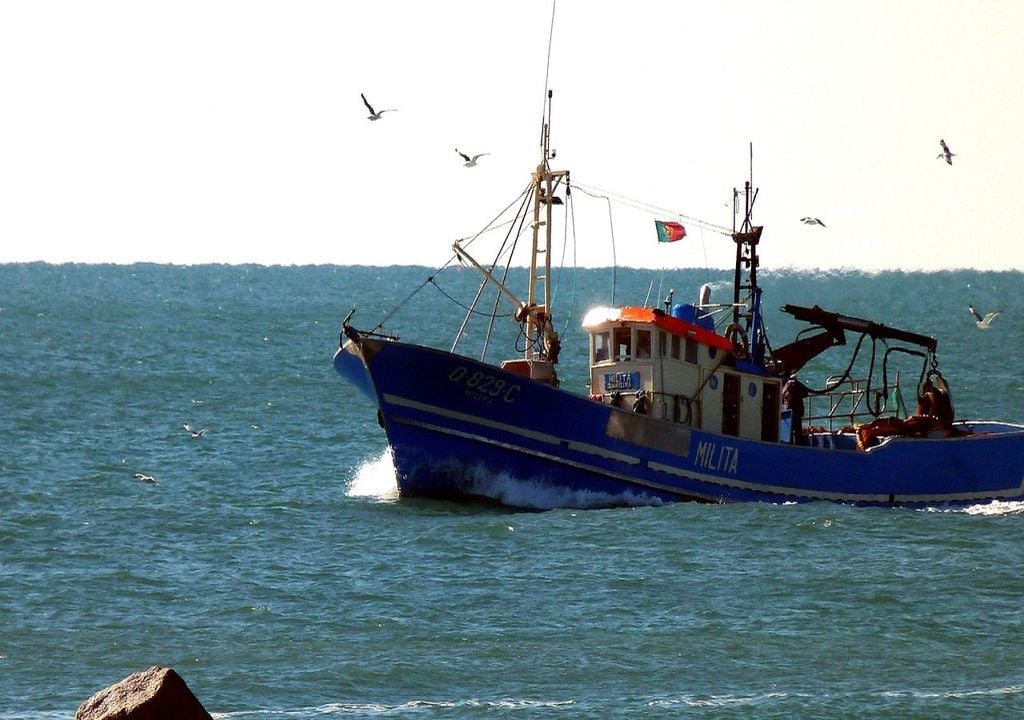 Barco de Pesca