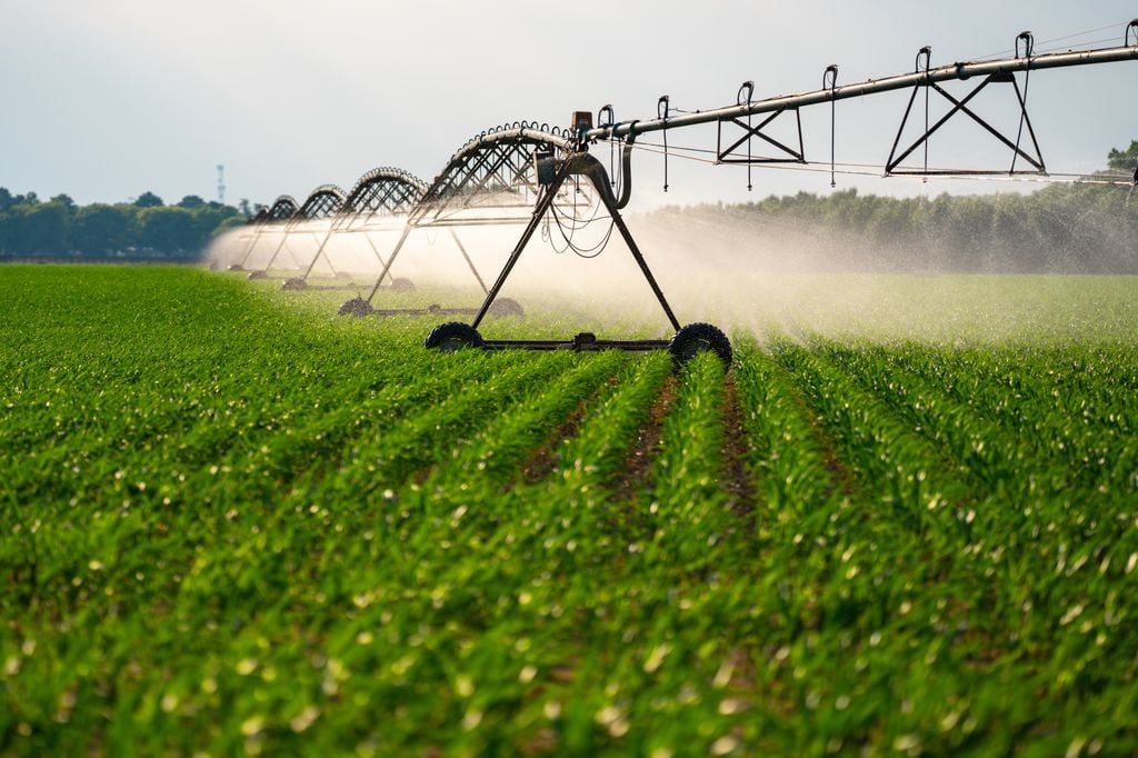 A rega agrícola ganha maior expressão nesta fase da primavera, num contexto de menor precipitação e subida das temperaturas, fatores que contribuem para a diminuição gradual das reservas armazenadas.