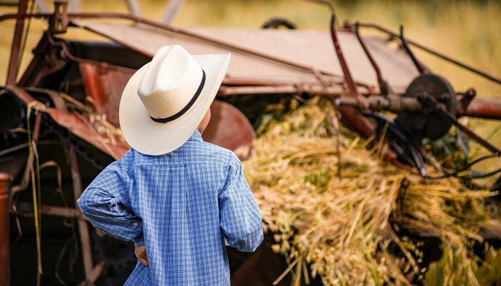 Warum sind Kinder, die auf dem Land aufwachsen, gesünder als Stadtkinder? Bild: David Holifield/Unsplash