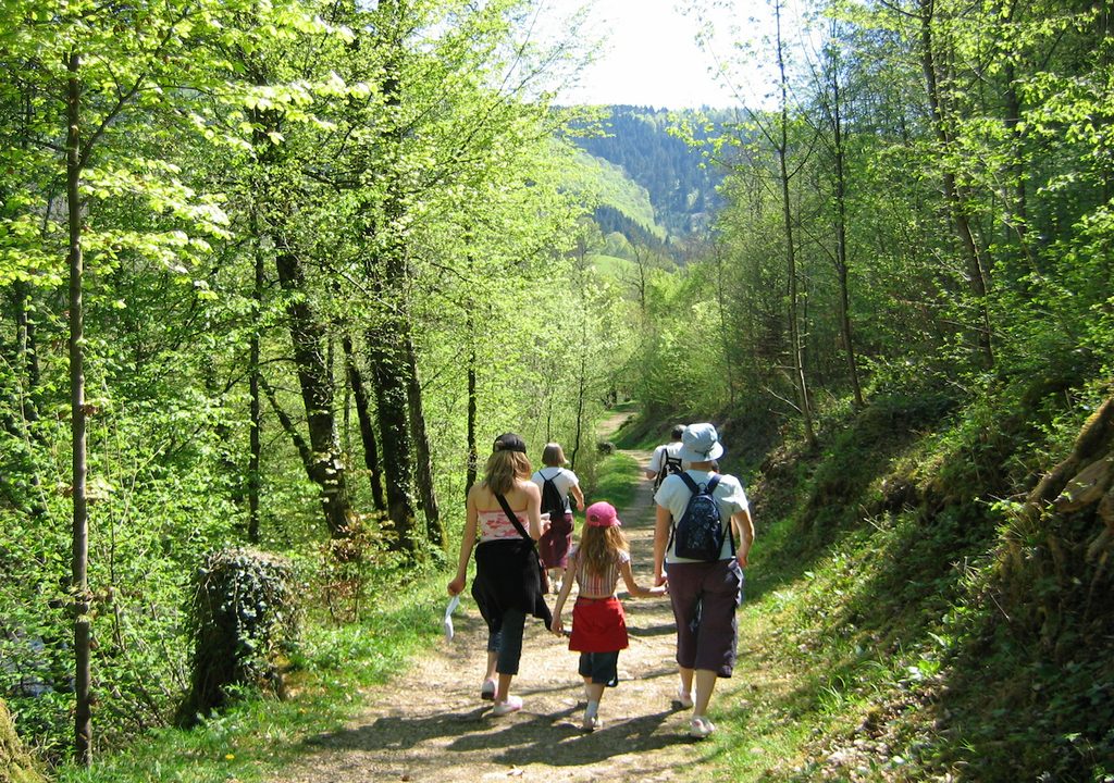 Wanderer, Naturliebhaber, Tieren, Pflanzen Wanderer, Naturliebhaber, Tieren, Pflanzen