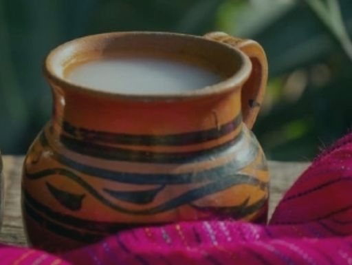 Bebida de los dioses y fen&oacute;meno bioqu&iacute;mico: la ciencia que hay detr&aacute;s de cada trago de pulque