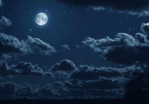 Beeinflusst zu viel knstliches Licht im Garten oder im Haus unsere  Gesundheit?