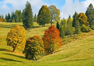 Bekommen wir einen goldenen Oktober?