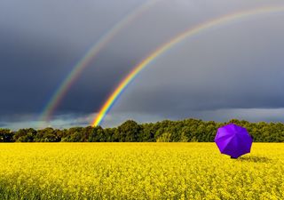 Primavera 2020: o que esperar do início da estação das chuvas?