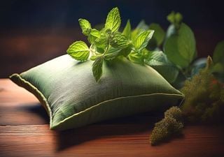 El beneficio oculto de poner hojas de hierbabuena bajo de la almohada