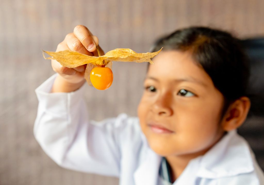 niña de Perú sosteniendo una baya de aguaymanto