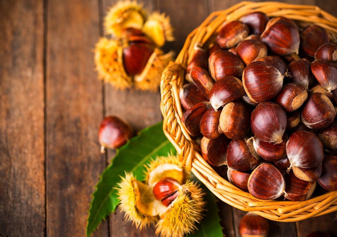 Las castañas son uno de los frutos secos otoñales con más propiedades y beneficios para la salud.
