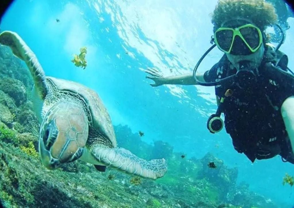 Mergulho para observar a vida marinha em Abrolhos, Bahia. Crédito: @ricosombra.