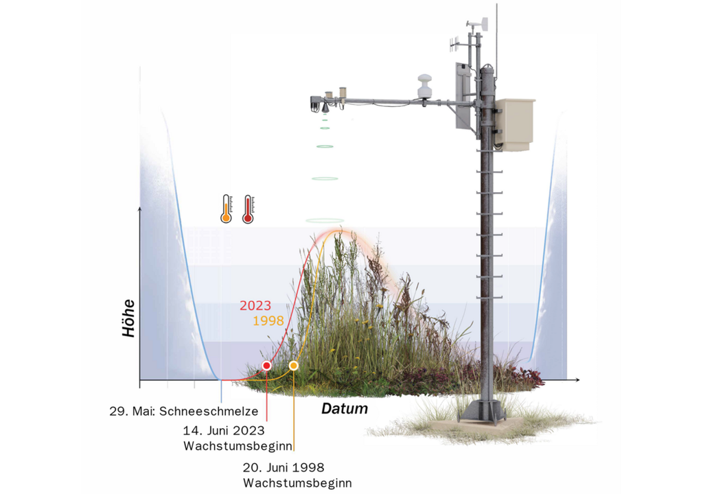 Um sechs Tage hat sich der Beginn des Pflanzenwachstums in den Bergen seit 1998 nach vorne verlagert.