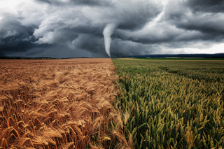Beryl género en EE.UU la mayor cantidad de tornados asociados a un ciclón tropical desde la temporada de 2005