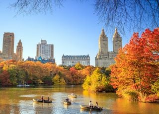 Best Parks In NYC To See Fall Foliage This November