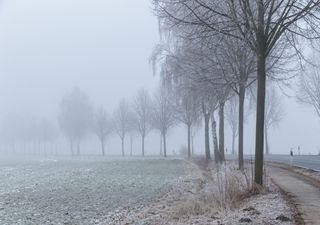 Bibberwetter an Silvester!