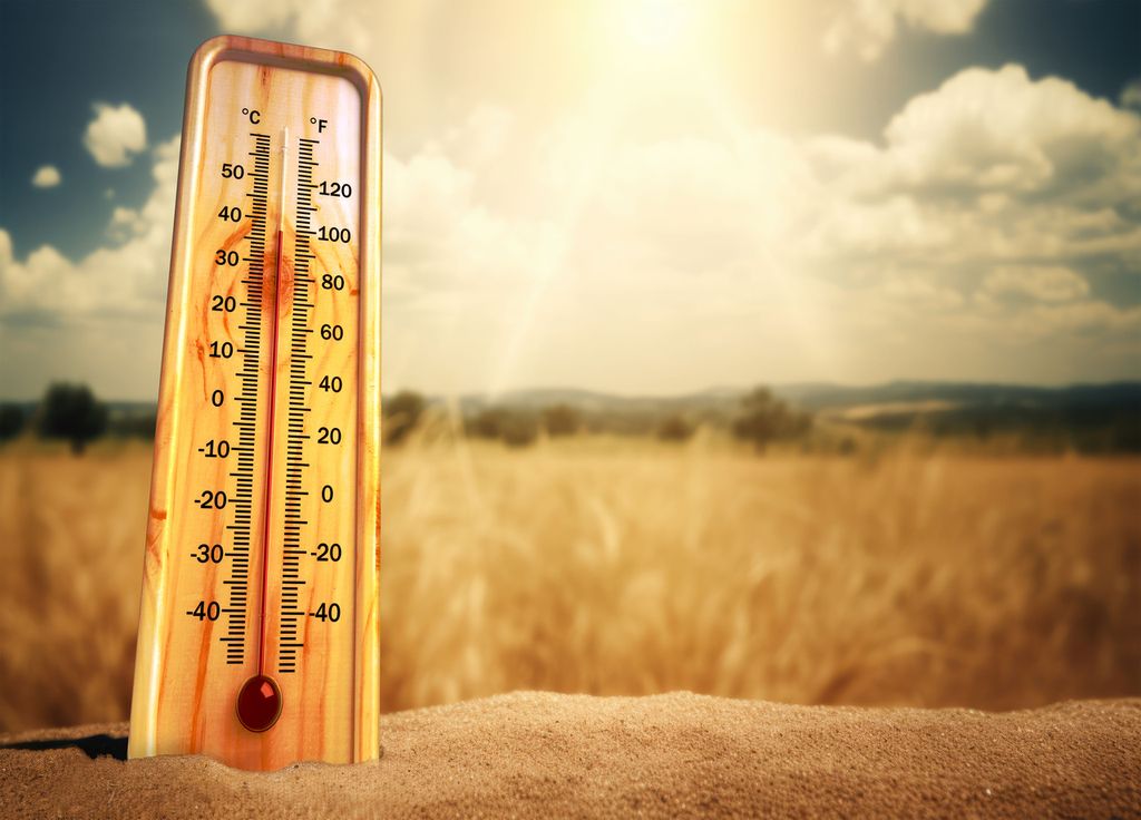 La barre des 30 à 35°C sera atteinte en de nombreuses régions. Plus rarement, des pics à 40°C ne sont pas impossibles. Les détails dans la suite de cet article.