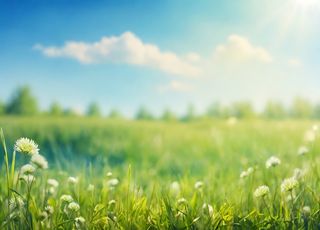 Bientôt plus de 20°C sur l'ensemble de la France ? Découvrez les prévisions météo jusqu'à la mi-avril !