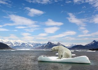 Will any ice remain in the Arctic by 2050?