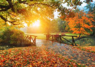 ¡Bienvenido otoño!, te estábamos esperando