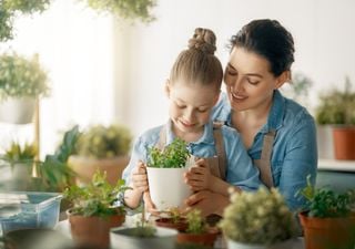 ¡Bienvenidos a la antesala de la primavera! Agosto es ideal para comenzar una huerta 