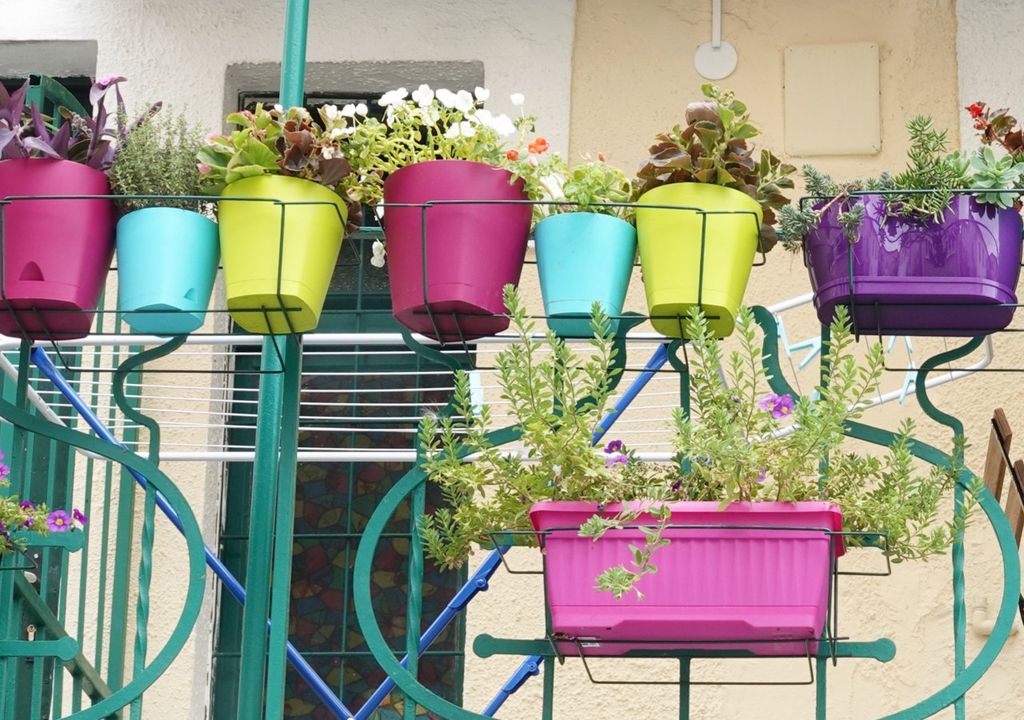 aromaticas, frutas aromaticas, frutas