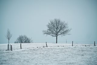 Mars 2018 : un mois froid et très pluvieux !