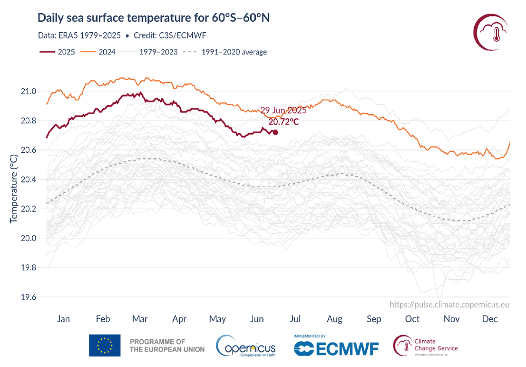 Temperatura oceani giugno 2025
