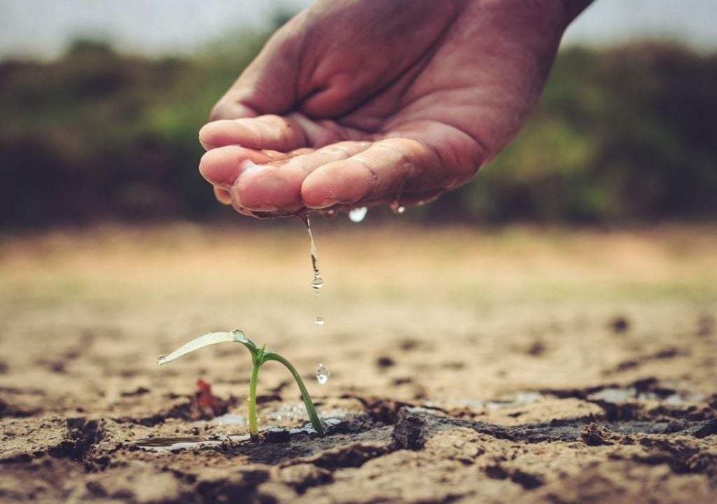 La escasez hídrica aumenta la vulnerabilidad de los sistemas de agua potable rural, donde la disponibilidad del recurso depende directamente de fuentes locales.