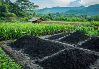 Biochar al rescate: el “carbón vegetal” que puede reducir hasta un 50 % las emisiones de metano en el compostaje chileno