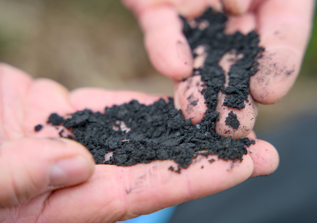 Biochar.