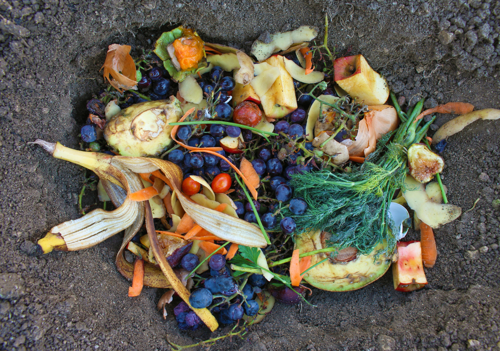 Biocombustible para aviones, Meteored, Chile Biocombustible para aviones, Meteored, Chile