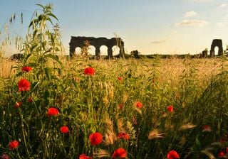 Nei prossimi giorni, grande evento internazionale sulla biodiversità urbana