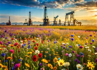 Biodiversité en déclin : quelles sont les 5 principales causes humaines ? 