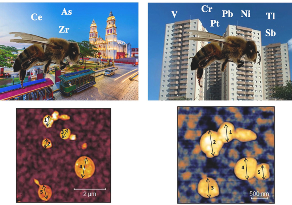 abejas; monitoreo; biosensores; urbano; calidad del aire; contaminantes; particulas finas; CMDX; Hermosillo