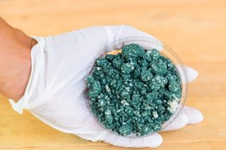 Bioinsumos em alta: Brasil apresenta resultados e aponta quais tecnologias já estão no campo