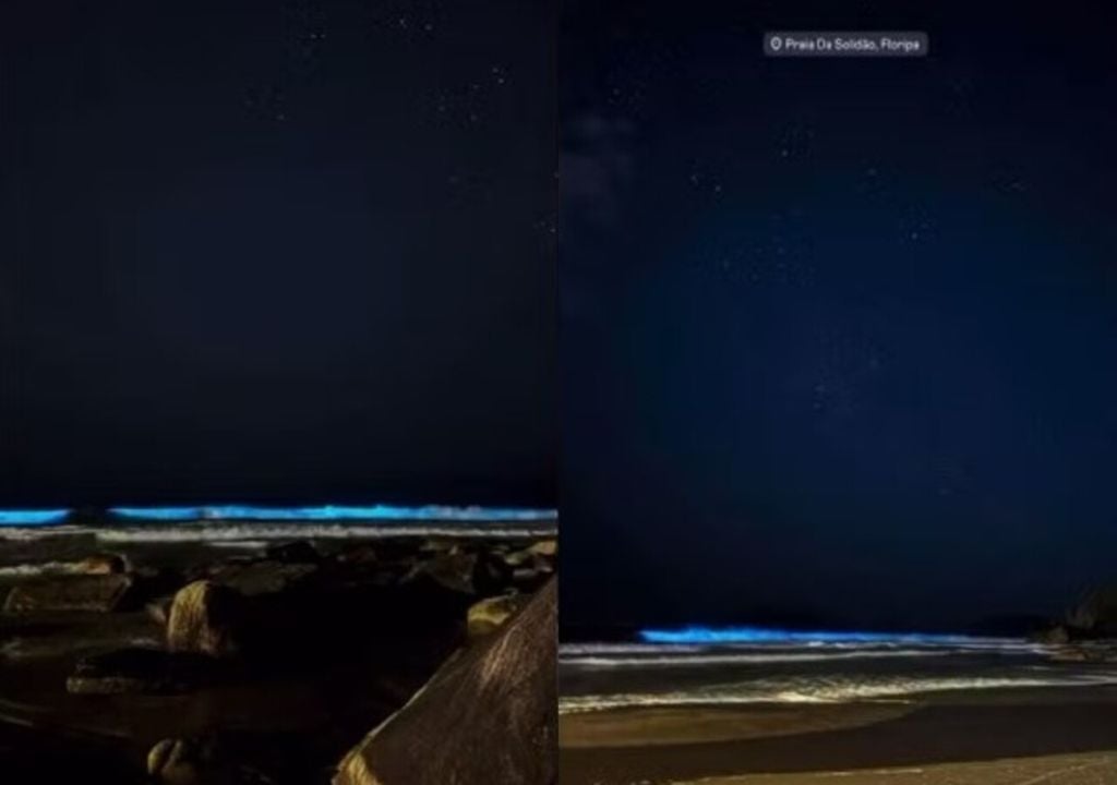 Segundo oceanógrafos, espetáculo visual pode indicar problemas no oceano.