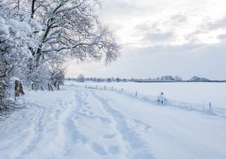 Bitterly cold this week with snow and sub zero temperatures