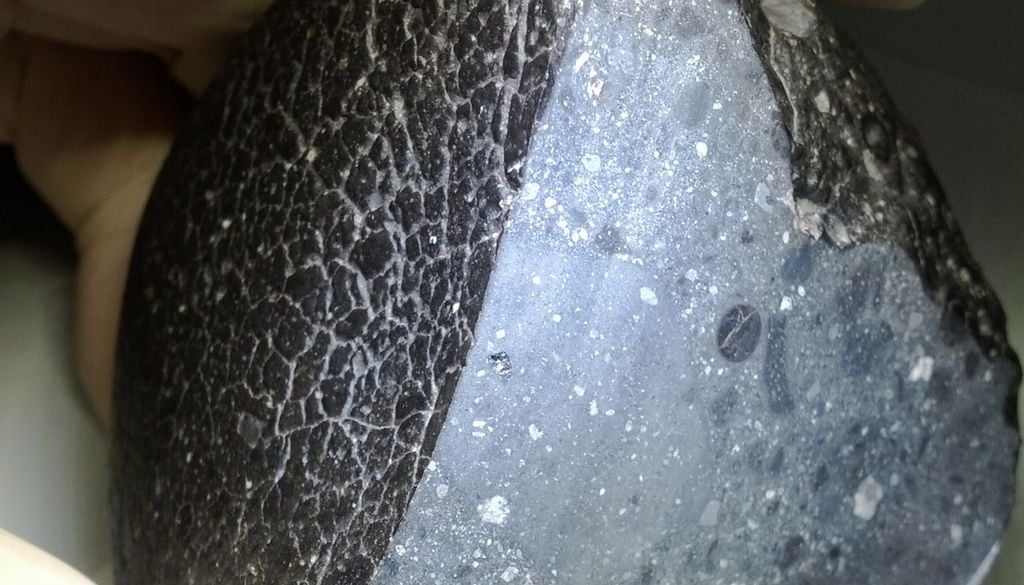 Der Marsmeteorit, der nach seinem Fundort in der Sahara als Northwest Africa 7034 bezeichnet wurde, wird auch Black Beauty genannt. Der Marsmeteorit, der nach seinem Fundort in der Sahara als Northwest Africa 7034 bezeichnet wurde, wird auch Black Beauty genannt. Bild: Institute of Meteoritics/University of New Mexico, Albuquerque