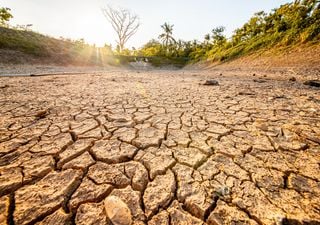 Bleibt es im August sehr warm? Der Trend für die zweite Monatshälfte!