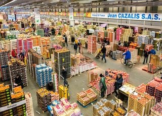 Blocage du marché international de Rungis : l'approvisionnement alimentaire de la France est-il menacé ? 