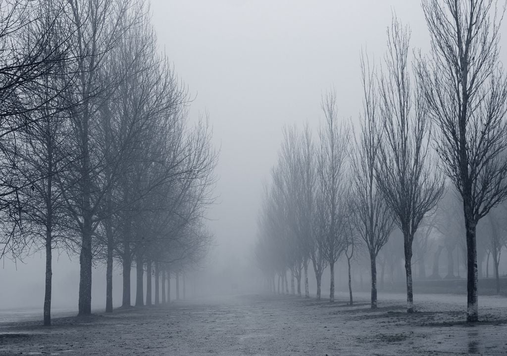 Nevoeiro; Portugal