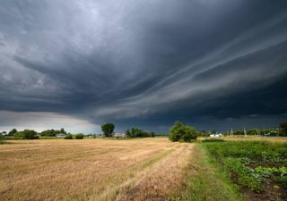 “Bloqueio” no tempo para o início de março: estas serão as consequências na chuva e temperatura em Portugal