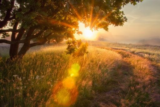 Vom Bodenfrost bis zum goldenen Oktober in Bayern - Meteorologe: "Regen weiter Mangelware"