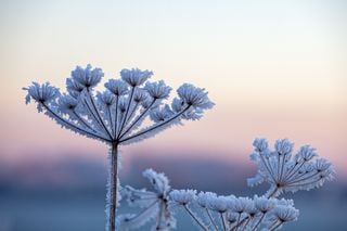 Bodenfrost und Trockenheit in Nordrhein-Westfalen - Wann kommt denn nun der Regen und mehr Wärme?