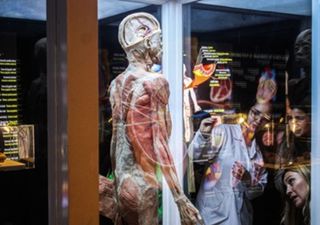 Bodies Evolution llega a Copiapó: una inmersión científica con cuerpos reales y tecnología de vanguardia