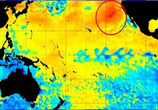 Les "bulles" géantes et chaudes de l'océan Pacifique révèlent enfin leurs origines !
