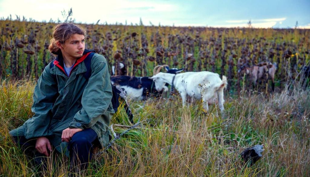 Pastorícias O pastoreio continua a fazer parte da paisagem e da vida rural de Bolotana, mantendo vivas práticas transmitidas entre gerações.