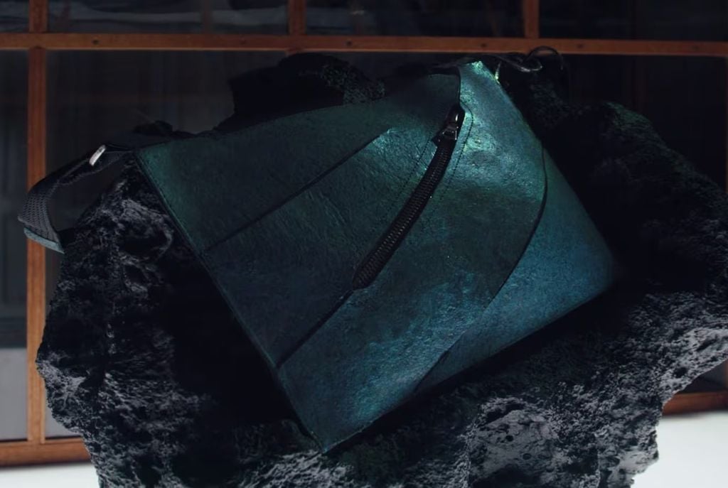 Interessados pela bolsa de luxo deverão dar lances a partir de R,4 milhões. Crédito: Divulgação VML