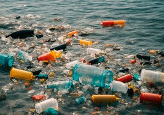 Bolsas plásticas: cuánto tiempo las usamos y a dónde terminan cuando las descartamos