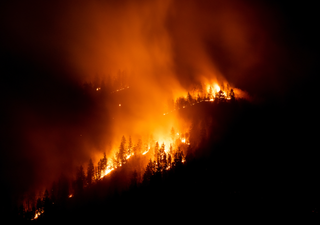 Bomberos trabajan arduamente en California para sofocar el reciente incendio forestal Nixon