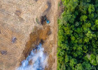 Bonne nouvelle : la déforestation a diminué de moitié en 2023 en Amazonie