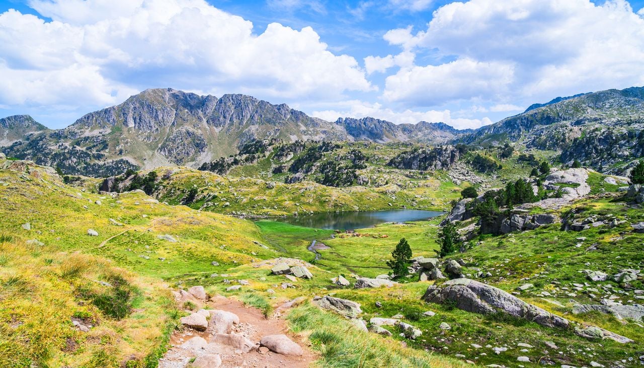 Les Pyrénées-Orientales abritent la réserve naturelle nationale de Jujols où 2800 espèces ont été recensées.