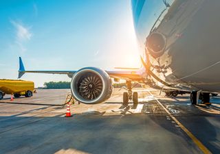 Boom productivo: un cultivo que crece en Argentina se utiliza como combustible para los aviones